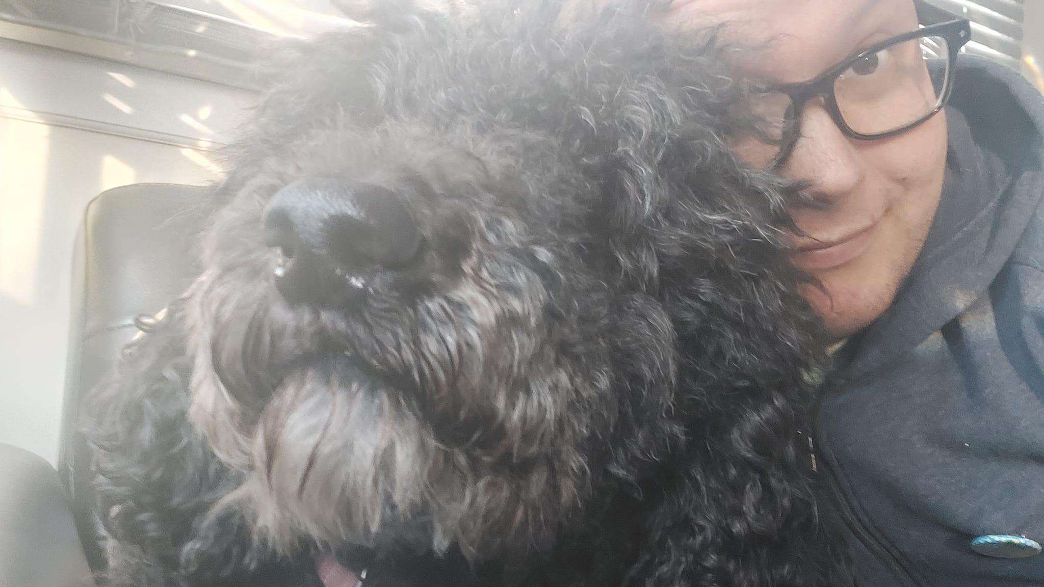 A man sits on a couch, giving a very shaggy and cute looking black standard poodle a big hug, her face is centred on screen, you can't make out her eyes in the fur